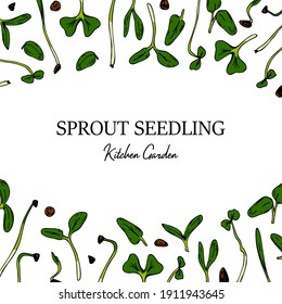 Hand drawn micro greens botany frame. Sprout seedling design. Vector illustration in colored sketch style