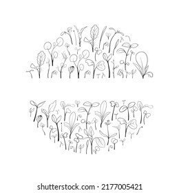 Hand drawn micro greens botany square frame. Healthy vegetarian and vegan food design for company logo, print, packages. Vector illustration in sketch style