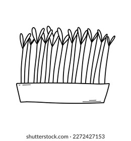 Hand drawn microgreens in pots. Vector illustration in doodle style isolated on white background. Micro green. Beets, lettuce, cabbage, sorrel, onion, radish, arugula, peas. Growing superfood at home.
