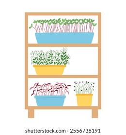 Hand drawn microgreens in pots. Vector illustration in flat style isolated on white background. Micro green. Beets, lettuce, cabbage, sorrel, onion, radish, arugula, peas. Growing superfood at home.