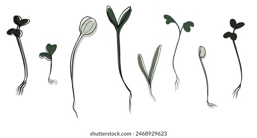 Handgezeichnete Microgreens-Vektorillustration. Kontursprossen aus Wasserkresse, Spinat, Senfkresse und Erbsen, Rettich, Zwiebel, Sonnenblume, Basilikumpflanze. Set für Menü, Logo, Mikroelemente, gesunden Lebensstil.