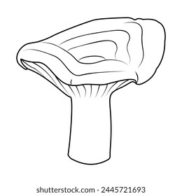 Hand drawn milk mushrooms Line art. Black and white isolated on white background. Coloring page for kids and adults. Vector illustration.