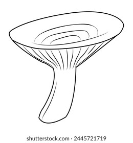 Hand drawn milk mushrooms Line art. Black and white isolated on white background. Coloring page for kids and adults. Vector illustration.