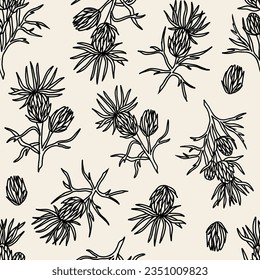 Hand drawn milk thistle seamless pattern