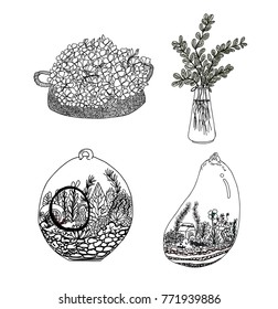 Hand drawn mini garden in glass pot.Garden Terrarium vector.