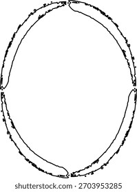 Hand Drawn Minimal Circular Brush Frame with Rough Ink Stroke Ring Design