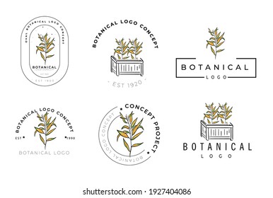 Hand drawn minimal floral botanical classic logo design template