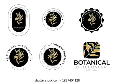 Hand drawn minimal floral botanical classic logo design template