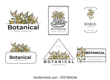 Hand drawn minimal floral botanical classic logo design template