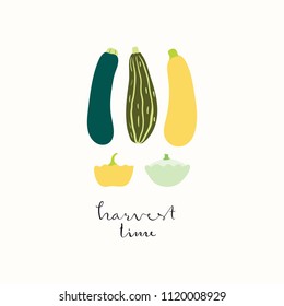 Hand drawn minimal vector illustration of different summer squashes, with lettering quote Harvest time. Isolated objects on white background. Flat style design. Concept for gardening, autumn harvest.