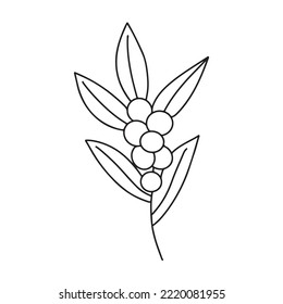 Hand drawn minimalist branch with leaves and berries. Black contour line outline vector illutration in minimal doodle style. Winter holidays floral clip art, greenery