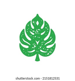 Hand drawn minimalist fern leaf greenery with ornament edges and stem green grunge texture vector illustration. Monochrome exotic rainforest plant foliage decorative design emblem isolated on white