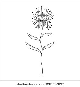 Hand drawn minimalist floral illustrtation black and white