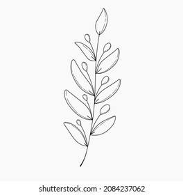 Hand drawn minimalist floral illustrtation black and white