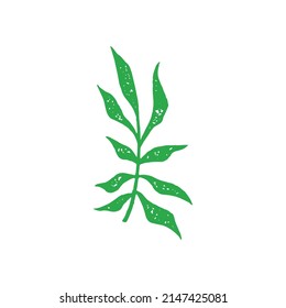 Hand drawn minimalist green natural branch with stem and leaves monochrome grunge texture vector illustration. Drawing logotype tropical growing plant of rainforest, garden, summer park isolated