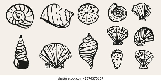 Hand drawn minimalist sea shell animals, starfish sketch doodle retro vintage style isolated on white. Restaurant menu design collection