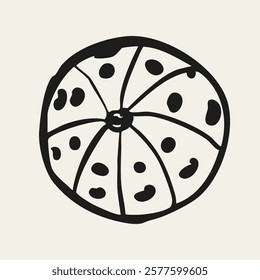 Hand drawn minimalist sea shell animals, starfish sketch doodle retro vintage style isolated on white. Restaurant menu design collection