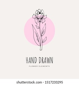 Hand Drawn Minimalistic and Floral Template for photographer, fashion blogger, design studio, interior design. Branding identity collection . Floral feminine element. flowers clipart