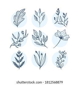 Hand Drawn Minimalistic and Floral Template for photographer, fashion blogger, design studio, interior design. Branding identity collection . Floral feminine element. flowers clipart