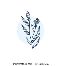 Hand Drawn Minimalistic and Floral Template for photographer, fashion blogger, design studio, interior design. Branding identity collection . Floral feminine element. flowers clipart