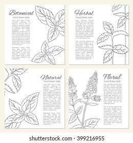 Hand drawn mint branch, leaves and flower isolated on white, spicy herbs, Vector illustration, Set of cards with designed frame and text, Perfect for cosmetic,beauty salon,natural and organic products