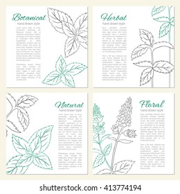 Hand drawn mint branch, leaves and flower isolated on white, spicy herbs, Vector illustration, Set of cards with designed frame and text, Perfect for cosmetic,beauty salon,natural and organic products