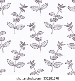 Hand drawn mint branch outline seamless pattern. Doodle drawing spicy herbs. Kitchen background. Hand drawn seasoning. Vector illustration