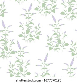 Hand drawn Mint grass pattern seamless. Vector illustration. Menthol leaves background. Print for fashionable textile.