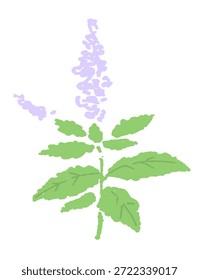 Handgezeichnete Minze Kraut Illustration mit Wasserfarbe