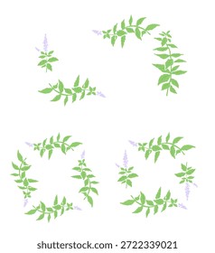 Handgezeichnete Minze Kraut Illustration mit Wasserfarbe