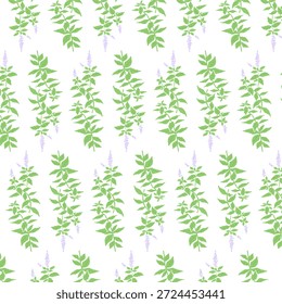 Handgezeichnete Minze Kraut Illustration mit Wasserfarbe