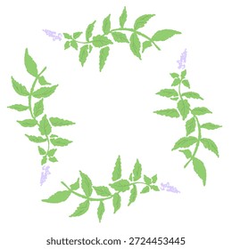 Handgezeichnete Minze Kraut Illustration mit Wasserfarbe