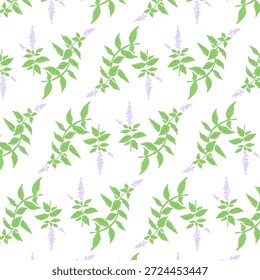 Handgezeichnete Minze Kraut Illustration mit Wasserfarbe