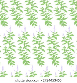 Handgezeichnete Minze Kraut Illustration mit Wasserfarbe