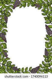Hand drawn mint sketch style poster. Peppermint wreath banner engraved drawing of menthol leaves. Grunge stylized ink menthol herbal banner. Aromatherapy, folk and alternative medicine. 