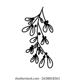 Hand drawn mistletoe in cute doodle style, vector illustration isolated on white background. Winter botany outline. Christmas decor element.