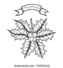 Hand drawn mistletoe plant with berry. Vector new year mistletoe.