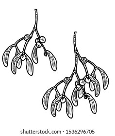 Hand drawn mistletoe. Vector Christmas plant background. Greeting card design. Vector mistletoe. Winter template.