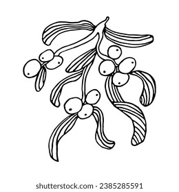 Mistletoe dibujado a mano. Fondo de la planta navideña vectorial. Imagen romántica de Navidad.