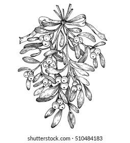 Hand drawn mistletoe. Vector illustration