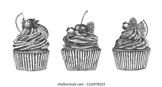 Hand drawn mixed fruit cupcakes.