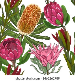 91 Seamless Waratah Images, Stock Photos & Vectors | Shutterstock