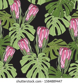 Hand drawn mixed kinds of monstera and protea, African native wild flower seamless pattern on black background.