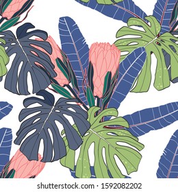 Hand drawn mixed kinds of monstera bananas leaves and protea, African native wild flower seamless pattern on white background.