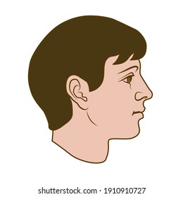 Hand drawn model human head in side view  Dark haired  gender neutral face  Colored flat vector drawing isolated white background  EPS 8 