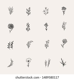 Hand Drawn Modern Minimalistic and Floral Template for photographer, fashion blogger, design studio, interior design. Branding identity collection . Floral feminine element. flowers clipart. Highlight