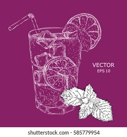 Hand drawn mojito cocktail in glass with lime. Vector illustration