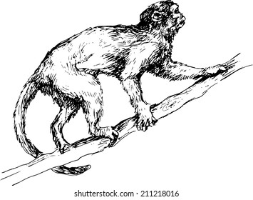 hand drawn monkey