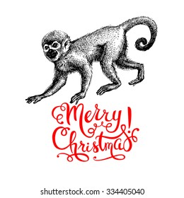 Hand drawn monkey animal vector illustration. Merry Christmas and Happy New Year card. Sketch isolated marmoset on white background