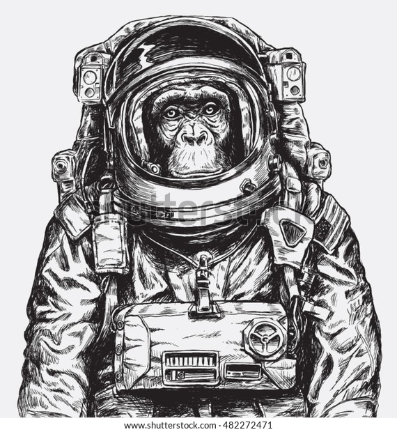Hand Drawn Monkey Astronaut
Vector